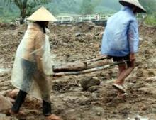 Lao Động và Công Phu