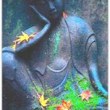 Hãy Mang Đến Cuộc Sống, Những Suy Ngẫm Về Cái Chết