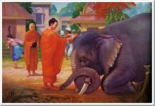 Từ Bi | Nhạc và lời của Thì thầm qua tiếng hát Thì thào
