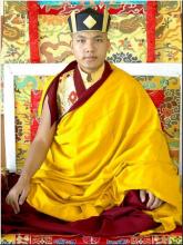 Ngài Karmapa đời thứ 17 cảnh báo về Hội nghị khí hậu tại Pari