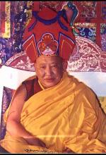 Cáo phó Đức Taklung Tsetrul Rinpoche Viên tịch