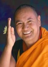 Phương Thuốc Thoát Khổ Của Phật Giáo Qua Cuộc Hội Thoại Của Đức Lama Thubten
