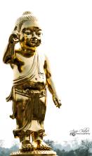 Cảm nghĩ ngày Phật Đản 2560 - 2016