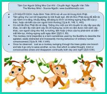 Tâm Con Người Giống Như Con Khỉ