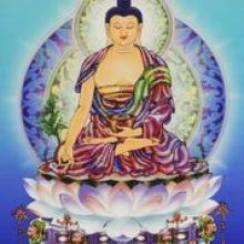 Pháp Hội Dược Sư tại Thành Phố San Jose, Hoa Kỳ