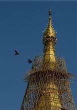 Tin Tức Phật Giáo Thế Giới Tháng 3 Năm 2016