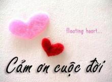 Nước mắt mẹ hiền