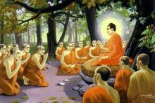 Một câu chuyện về nghiệp
