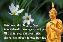 Kiếm tìm hạnh phúc?
