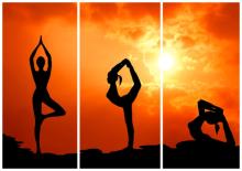 Thiền & Khí Công & Yoga Giúp Gì Cho Não Bộ