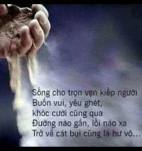 Phù du