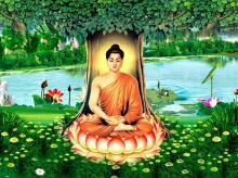 Thi kệ cuộc đời Đức Phật Thích Ca Mâu Ni