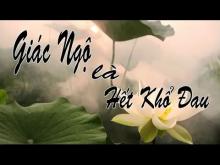 Con chó đói
