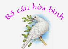 Một Cuộc Hội Thảo Hòa Bình