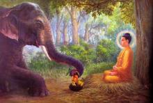 Sát sinh ắt phải chịu nghèo hèn