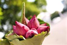 Thành Kính Tri Ân Những Người Giáo Viên Thầm Lặng