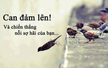 Ai Là Những Người Nổi Tiếng?