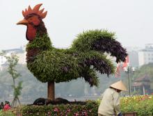 Năm Dậu với người tuổi Gà