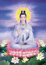 Công Hạnh Quan Âm Thị Kính