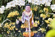 TT. Thích Nhật Từ thuyết giảng “Trái tim của Phật”tại Việt Nam Quốc tự đại lễ Phật đản PL. 2561 – DL. 2017