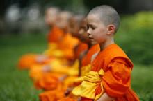 Tập Đế Là Nguyên Nhân Dẫn Đến Các Khổ Đau