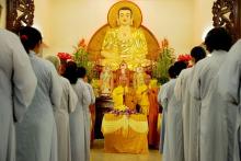 Màu Áo Thôi Vương