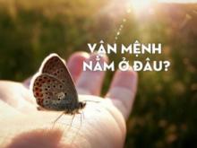 Nghiệp và Số Mệnh Đồng Hay Khác?
