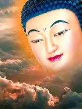 Con thuyền đời