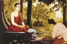 Nói Lời Thô Lỗ Cộc Cằn Là Thói Quen Xấu Cần Sửa Sai