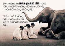 Gieo Nhân - Gặt Quả