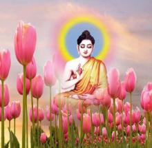 Quả Báo Nhãn Tiền Vì Lòng Tham