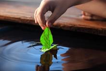 Buông xả phiền não theo lời Phật dạy