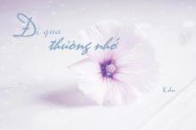 Nửa Miền Thương Nhớ