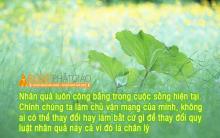 Thời Bình Và Cuộc Thế