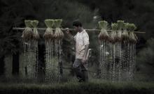 Danh ngôn về lập nghiệp