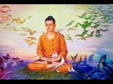 Thở để sống