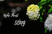 Nghệ thuật sống - Biết tự làm,thay vì nhờ đến dịch vụ
