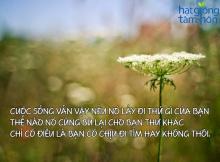 Chân Lý Nằm Trong Những Điều Giản Dị