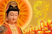 Hạnh lắng nghe