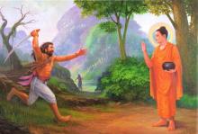 Dù Trên Phương Diện Nào, Sát Sanh Đều Bắt Nguồn Từ Sân Hận