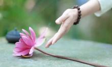 Hút Thuốc, Uống Bia, Uống Rượu Thuốc Có Vi Phạm Giới Luật?