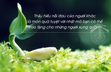 Phương Am Sực Mộng