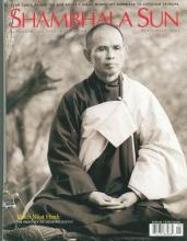 Mai nở ngoài sân