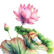 Hoa Từ tâm