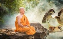 Ngày tết suy ngẫm về câu thơ “Xuân qua hoa vẫn nở” của Xuyên Thiền sư