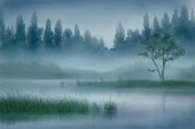 Trí Nhớ Mù Sương