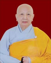 TIỂU SỬ NI TRƯỞNG THÍCH NỮ NHƯ CHÂU
