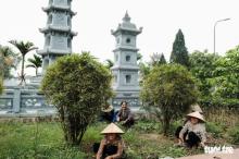 Viên Minh tự ghi dấu ấn của bậc chân tu Đức Pháp chủ Thích Phổ Tuệ