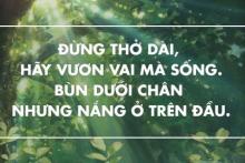 Nỗi đau còn đó…