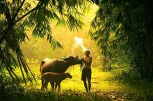 U Sầu Trần Thế